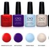 Queen-tessential shellac